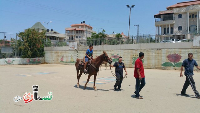 كفرقاسم - فيديو  : تعليم هواية ركوب الخيل في مدرسة جنة ابن رشد في اليوم الرابع لصيف الصادقة 